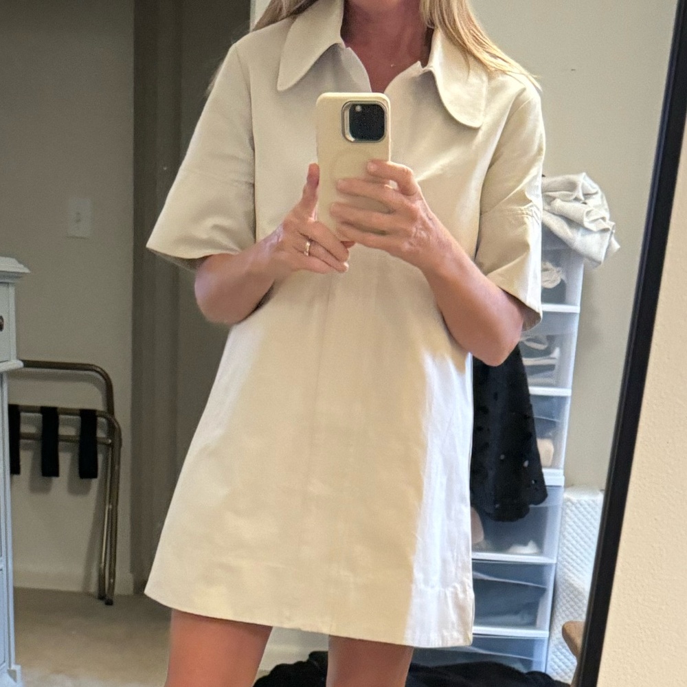Tuckernuck dress, mini